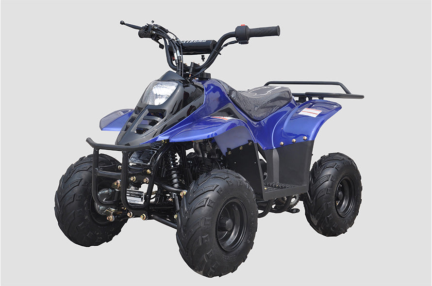 Rexhawk 110 Children's ATV, 4-Stroke 110cc