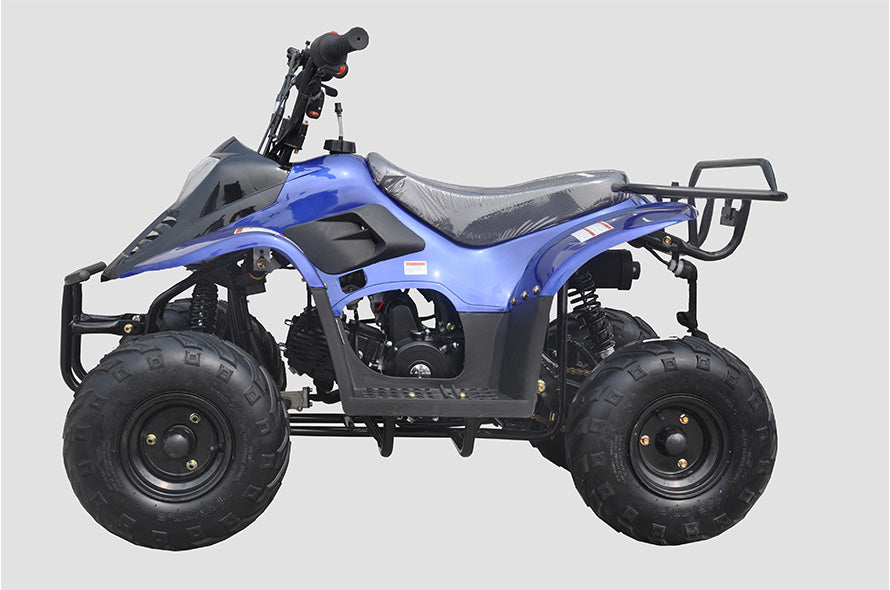 Rexhawk 110 Children's ATV, 4-Stroke 110cc