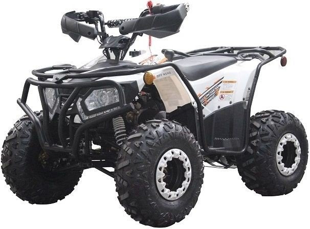 Dongfang Grizzly 200 ATS Youth ATV