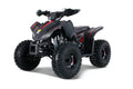 Tao Tao Rival Trailhawk 10 Children's ATV, 4-Stroke 125cc