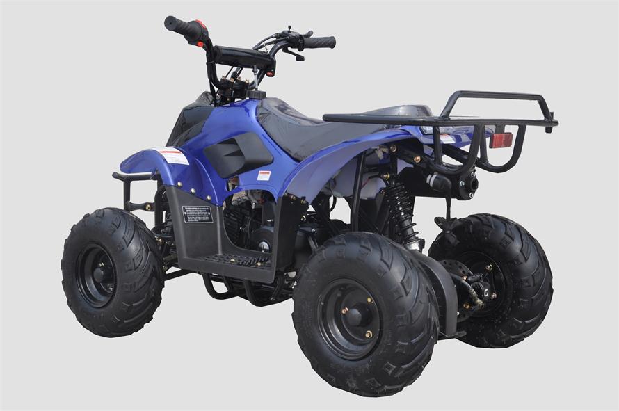 Rexhawk 110 Children's ATV, 4-Stroke 110cc