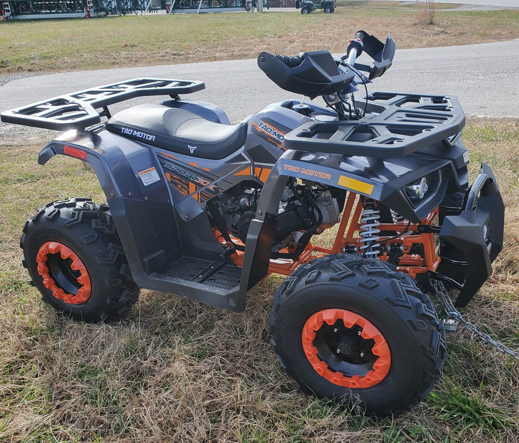 Tao Tao Raptor 200G Adult ATV