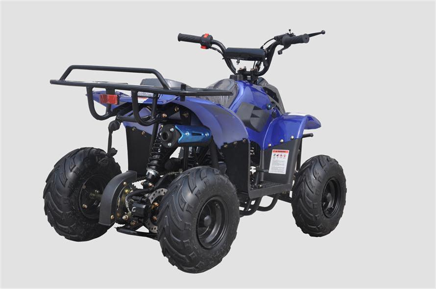 Rexhawk 110 Children's ATV, 4-Stroke 110cc