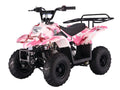 Tao Tao B110 Children's ATV, 4-Stroke 110cc