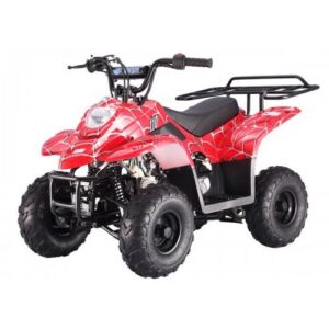 Tao Tao B110 Children's ATV, 4-Stroke 110cc