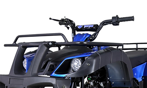 Tao Tao Bull 150 Adult Quad ATV