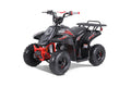 Tao Tao Rock 110 Children's ATV, 4-Stroke 110cc