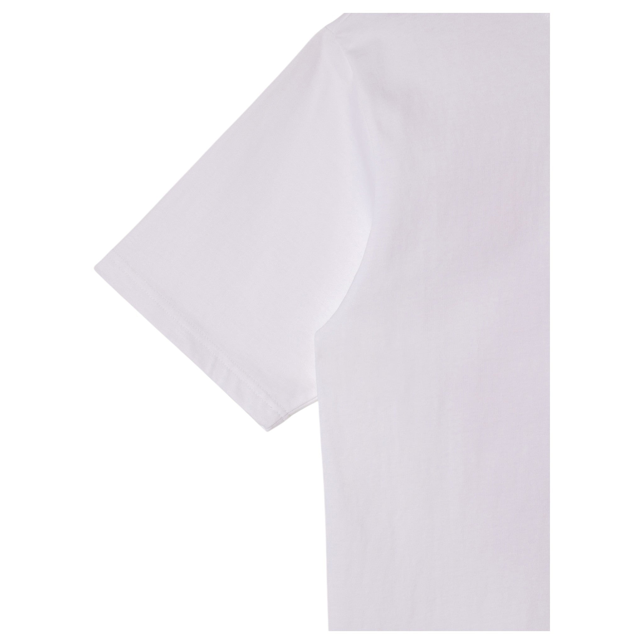 Stan Ray Dirt T-Shirt - White