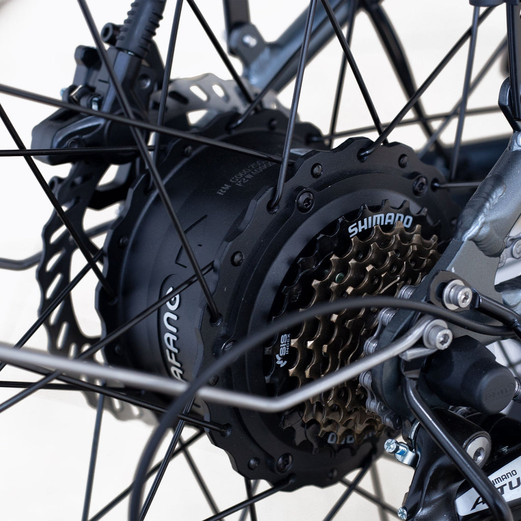 Coastal Cruisers Step Over 24x3 - 52v Beach Cruiser Electric Bike