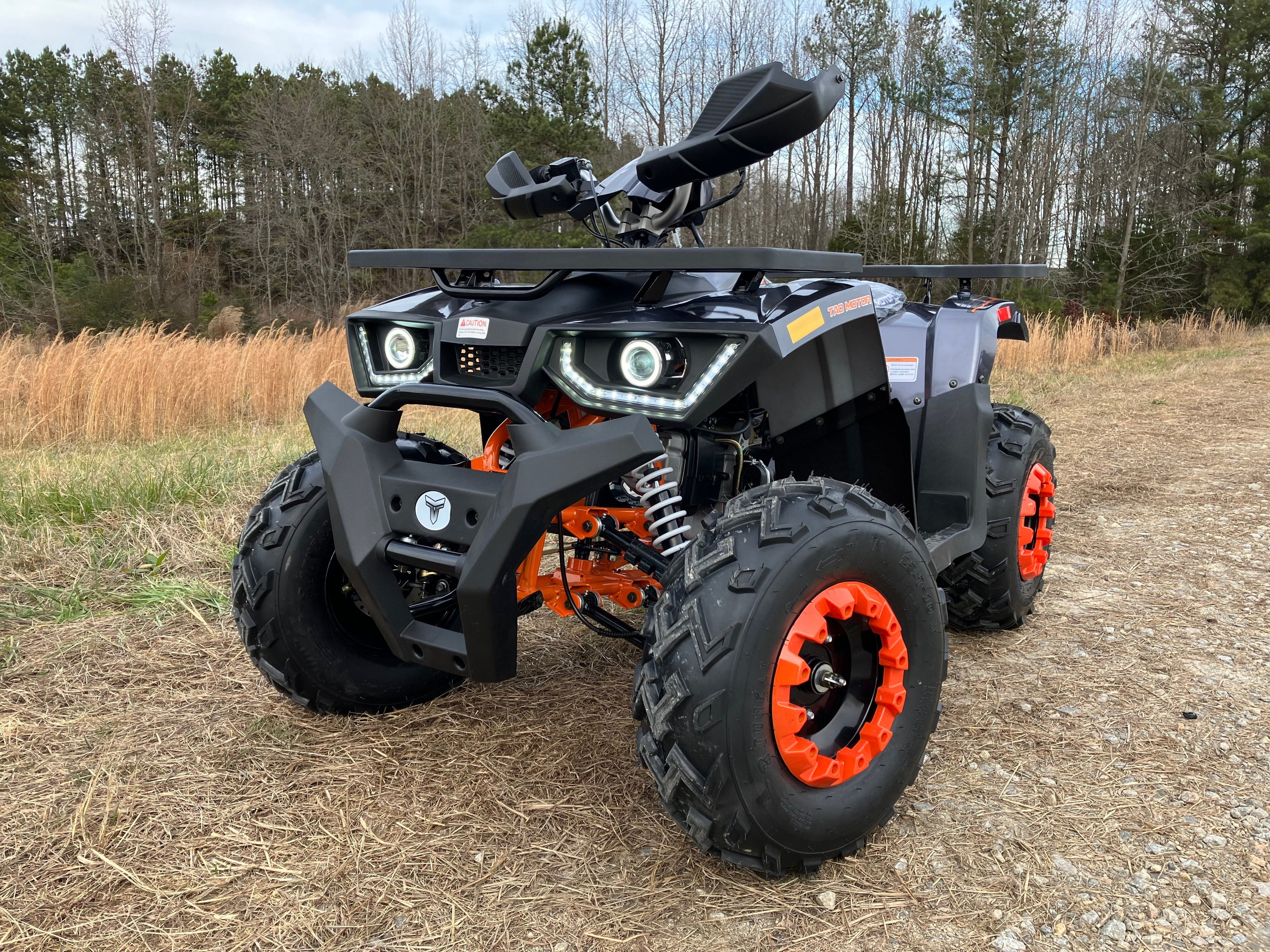 Tao Tao Raptor 200G Adult ATV