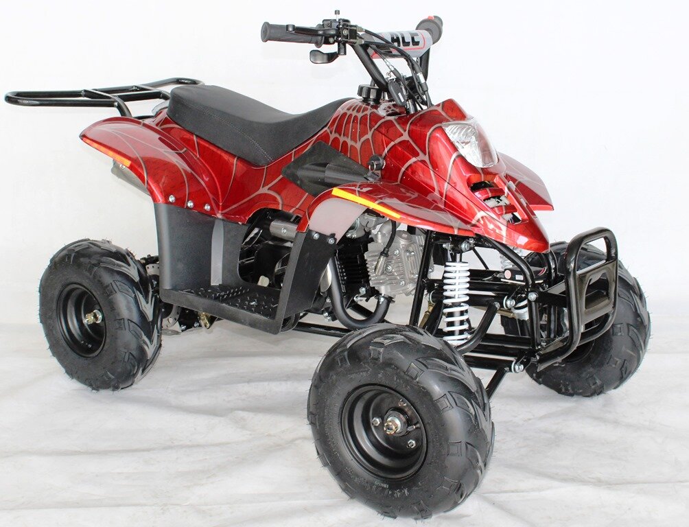ACE D110 Children's ATV, 4-Stroke 110cc