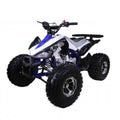 Tao Tao Cheetah Children's ATV, 4-Stroke 125cc
