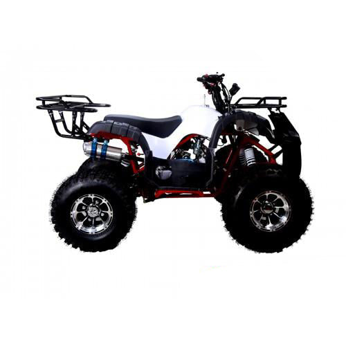 Tao Tao New T-Force 125 Children's ATV, 4-Stroke 125cc