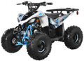 Trailmaster R125 Children's ATV, 4-Stroke 125cc