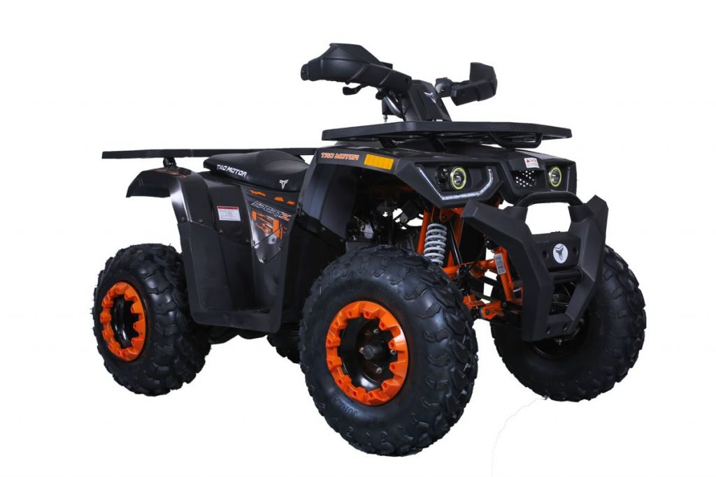 Tao Tao Raptor 200G Adult ATV
