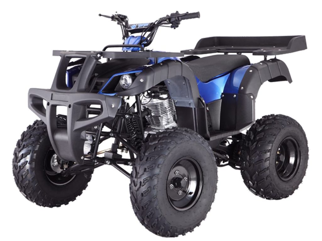 Tao Tao Rhino 250 Adult Quad ATV