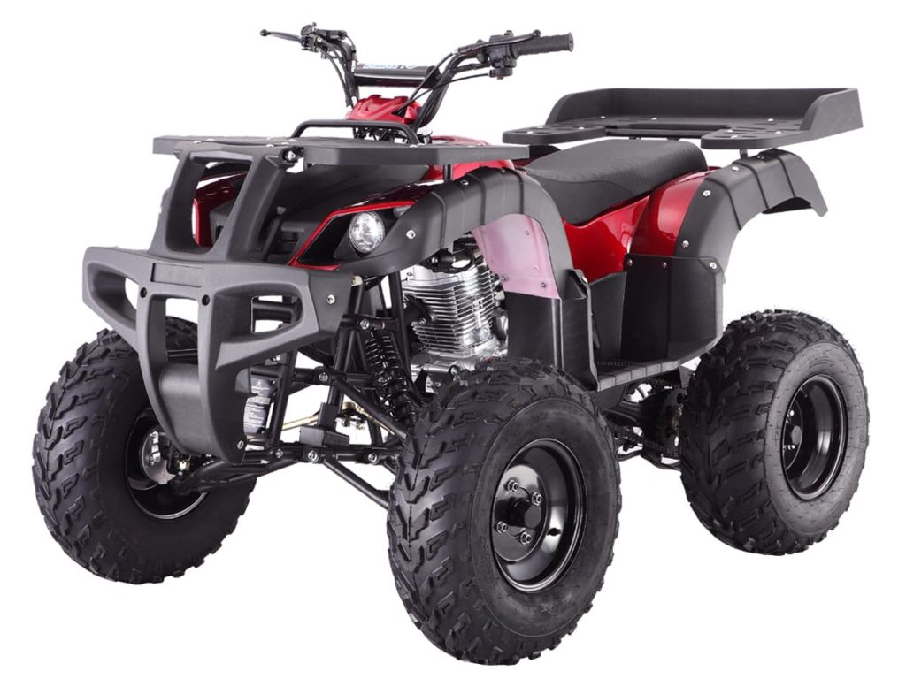 Tao Tao Rhino 250 Adult Quad ATV
