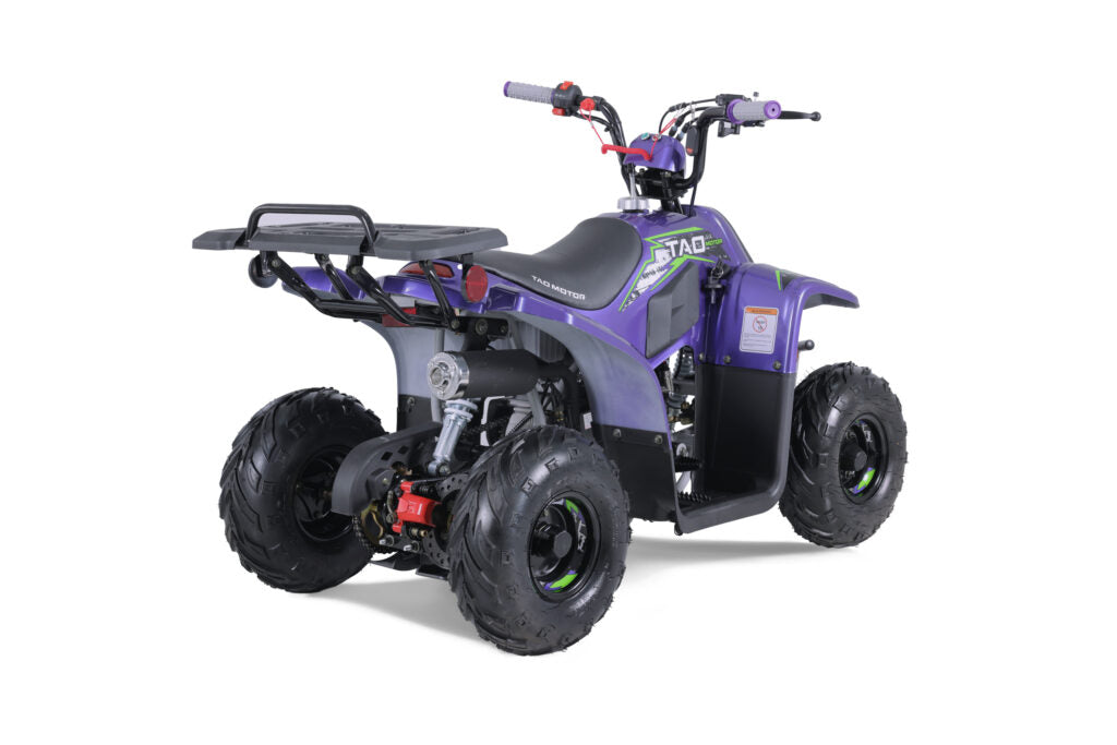 Tao Tao Rock 110 Children's ATV, 4-Stroke 110cc