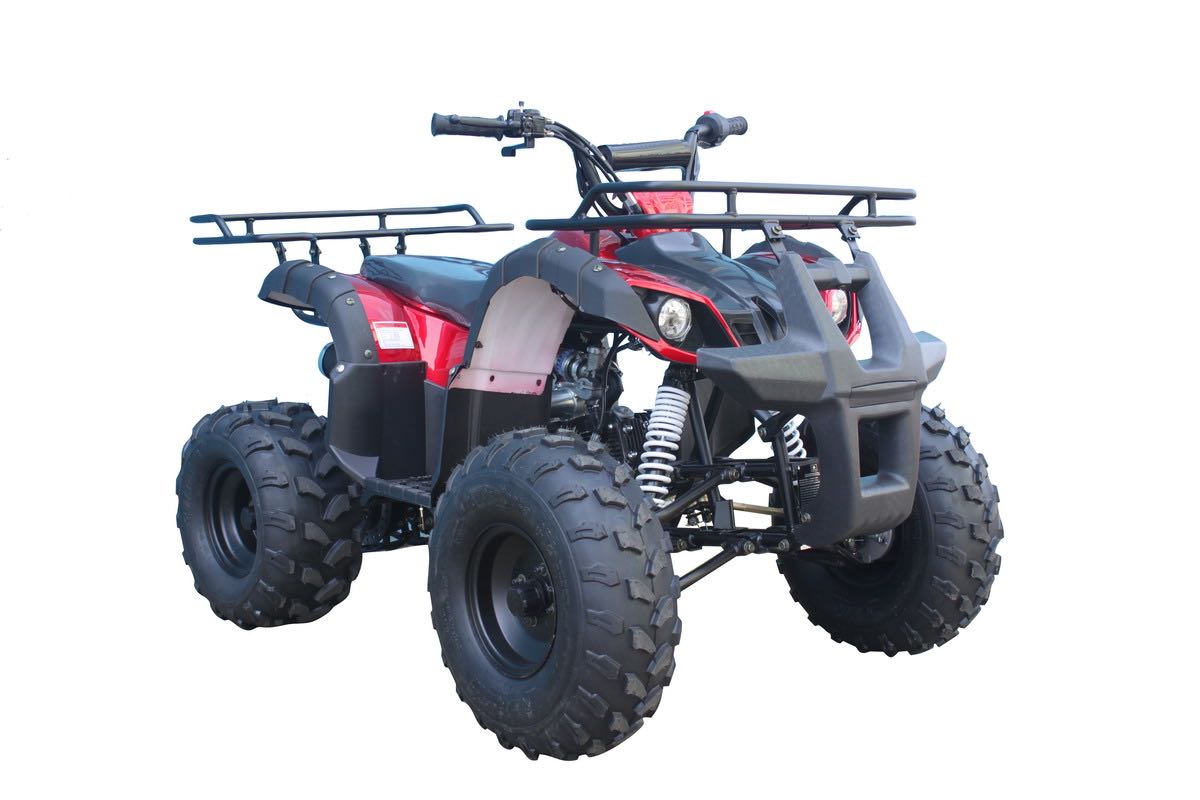 Tao Tao T-Force 125 Children's ATV, 4-Stroke 125cc