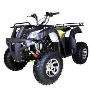 Tao Tao Bull 200S Adult Quad ATV