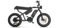 RAEV Bullet X /XF V2 Electric Bicycle