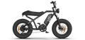 RAEV Bullet V2 Electric Bicycle