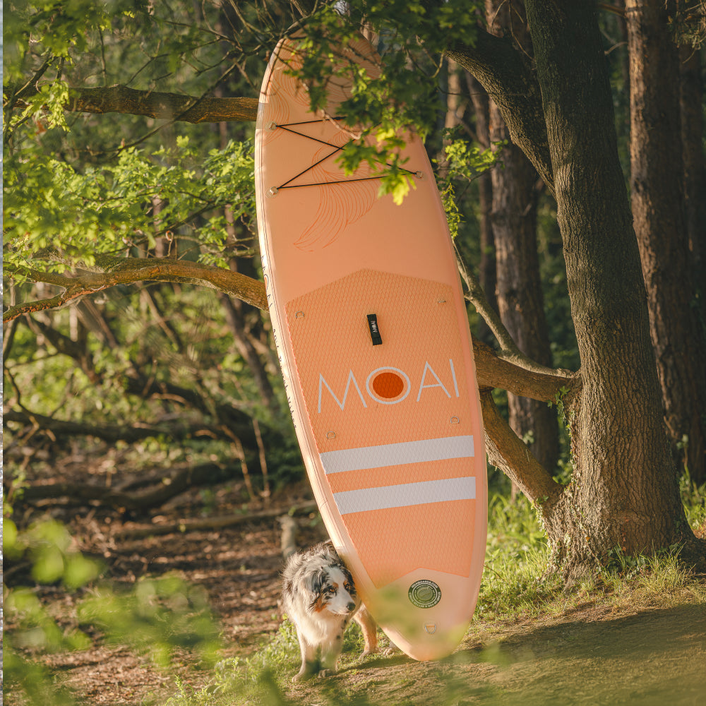 MOAI Beach Vibes SUP 10'6 Dawn Package