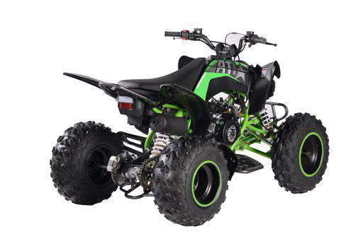 Pentora 200 EFI Sport Adult ATV