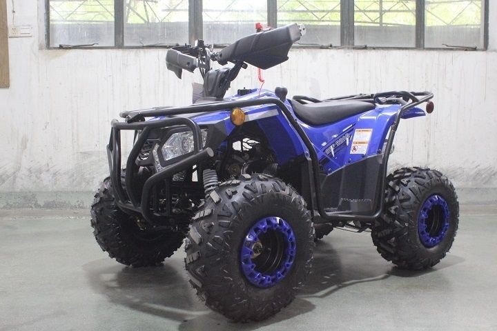 Dongfang Grizzly 200 ATS Youth ATV