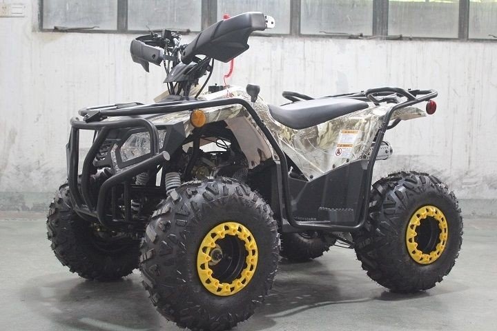 Dongfang Grizzly 200 ATS Youth ATV