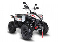 TGB TARGET 600 600cc Adult Four Wheeler ATV 4x4