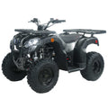 Pentora 250 Utility Adult ATV
